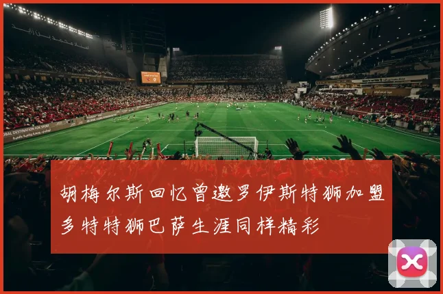 胡梅尔斯回忆曾邀罗伊斯特狮加盟多特特狮巴萨生涯同样精彩